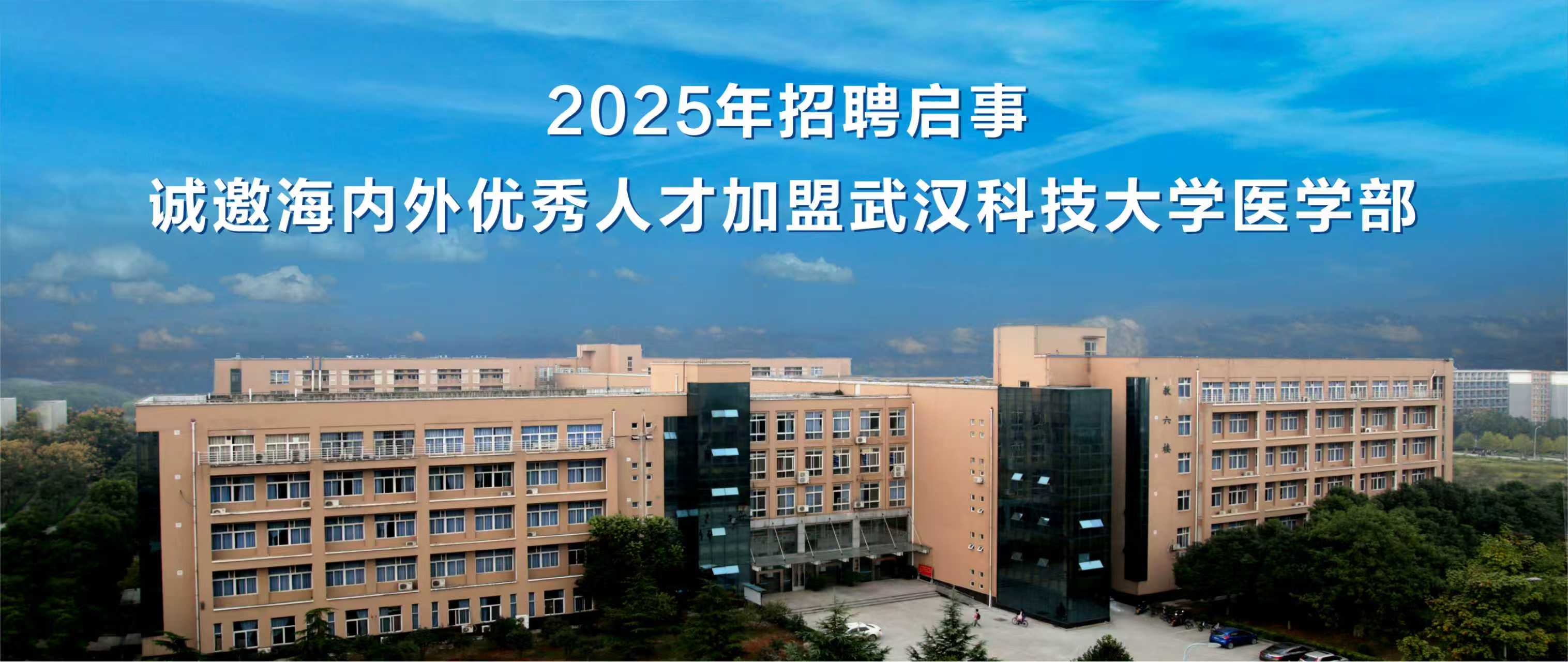 太阳集团有限公司